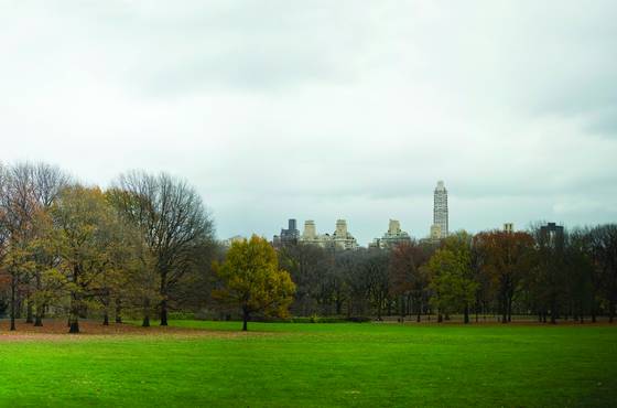 2b_a_walk_in_the_park_-_late_fall