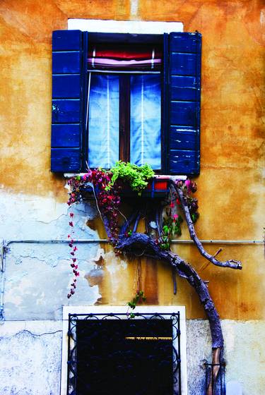 Blue_shutters_and_old_vine