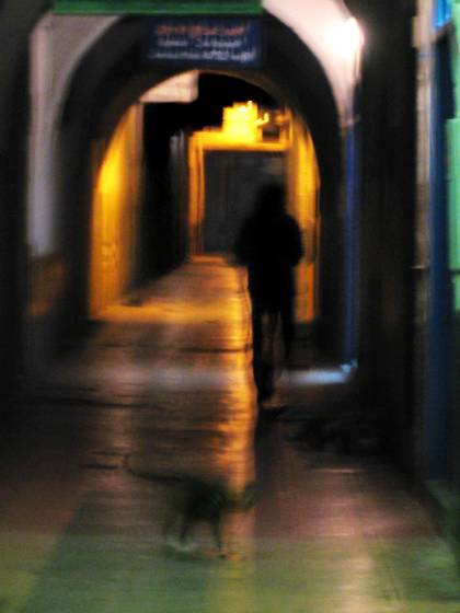 Night_cat