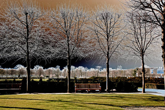 Bench_in_tuileries