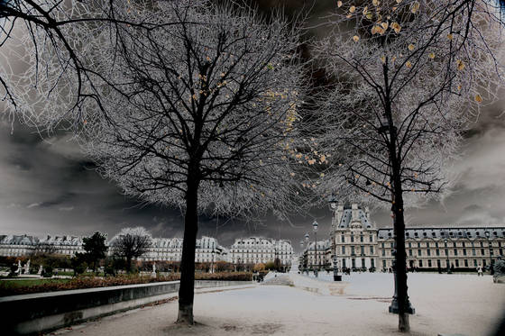 Tuileries
