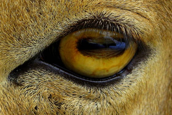 I_see_you