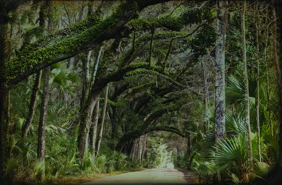 Vanishing_florida_3