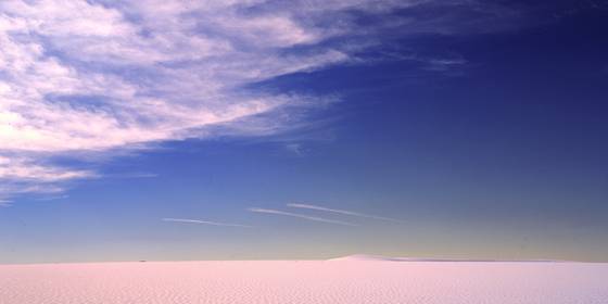Untitled_5