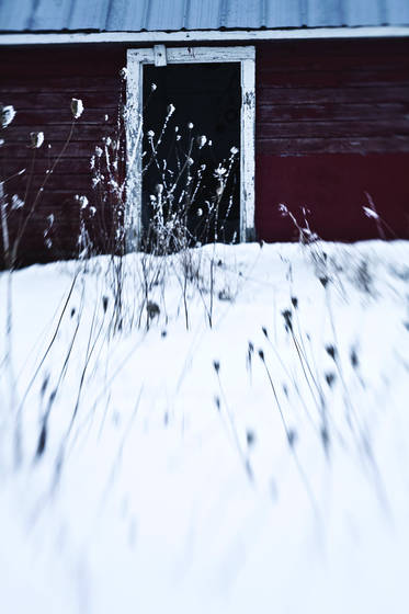 Winter_cold_iv