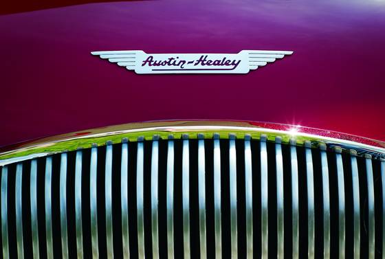 Austin_healey_100m