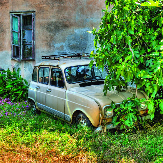 Under_fig_tree