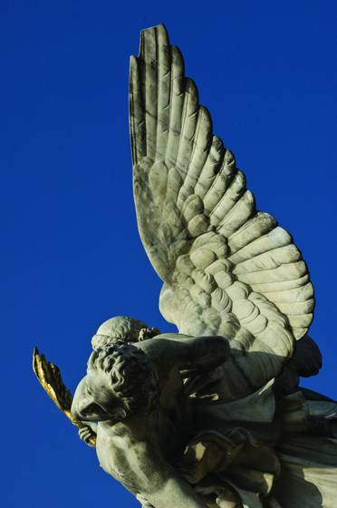 Angel_wing