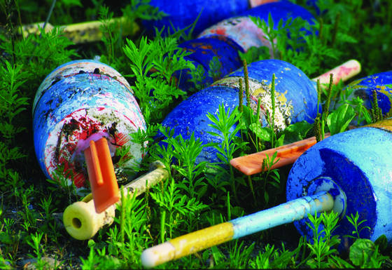 Blue_buoys