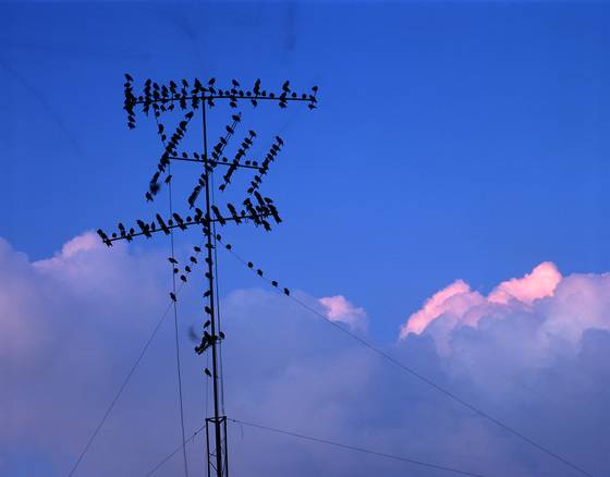Early_morning_sky