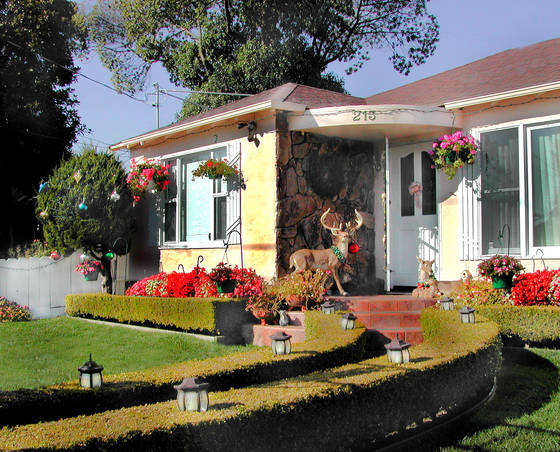 Seabright_deer