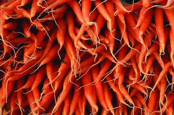 Carrots