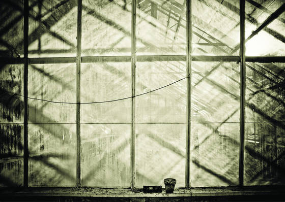 Window_10