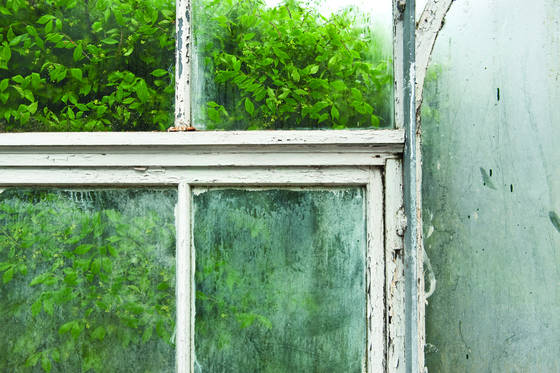 Window_2