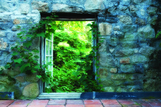 Window_3