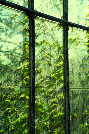 Window_9