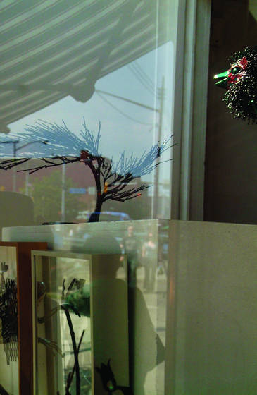 Bird_tree