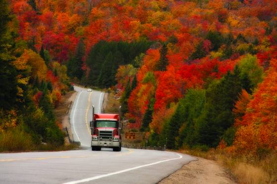 Autumn_colours