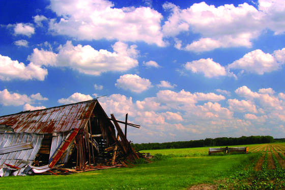 Grandmas_barn