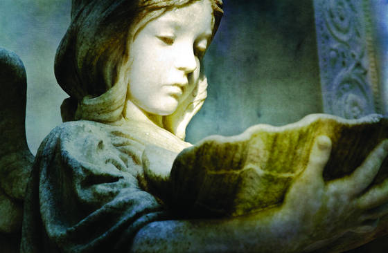 In_the_eyes_of_a_child
