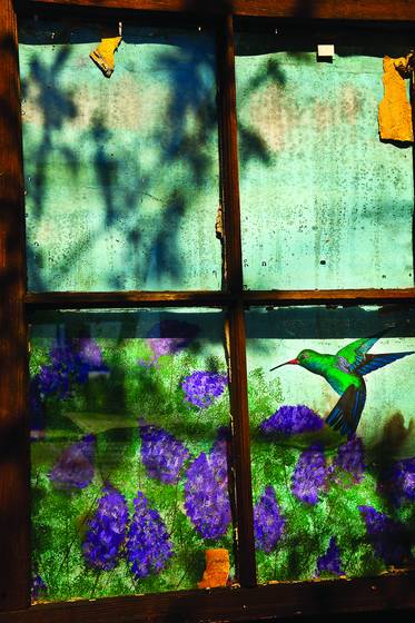 Window