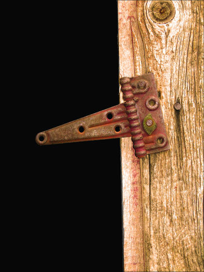 Shed_hinge
