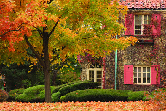 The_house_with_red_shutters