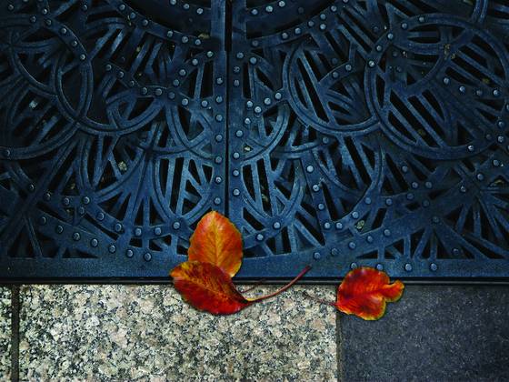 Grate_with_leaves