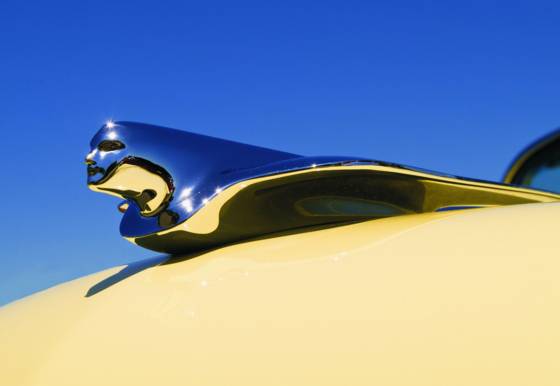 Chrome_sphinx