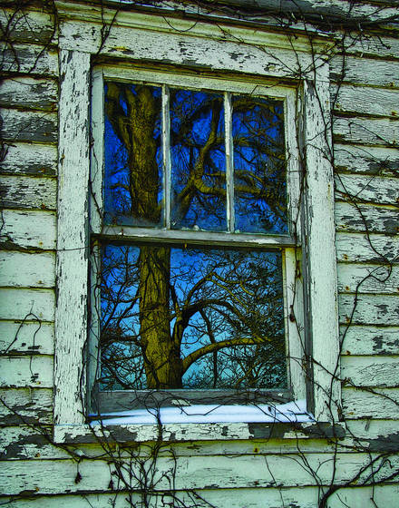 Reflection_of_a_winter_s_day