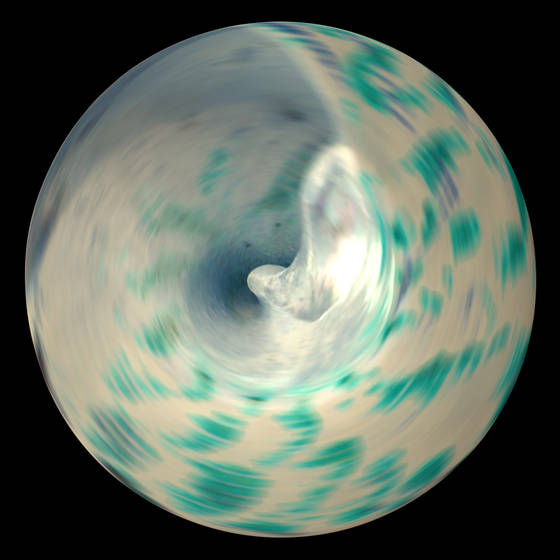 Shell__2