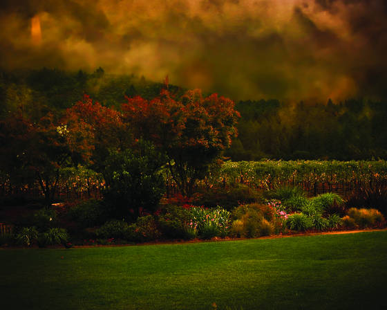 Wine_trail_18