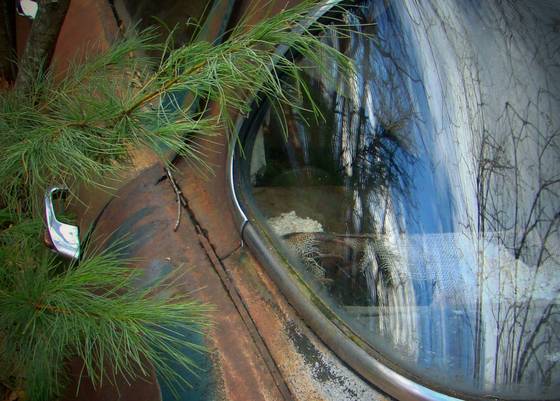 Rear_window