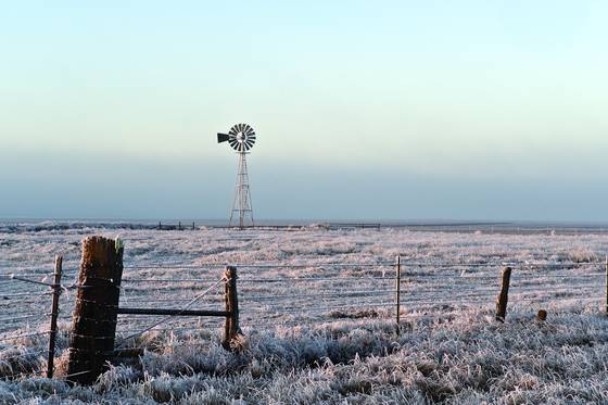Frosty_morning
