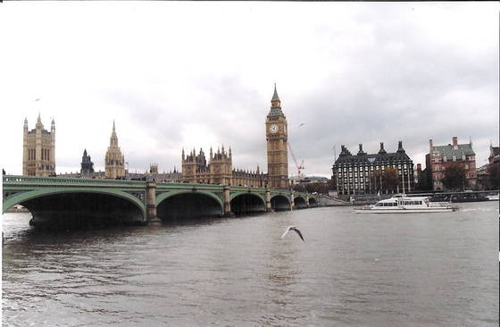 Seagull_with_big_ben