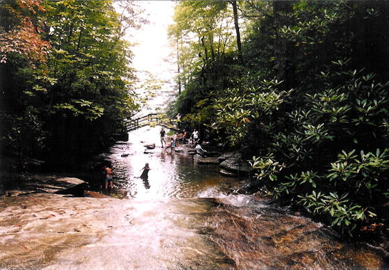 Top_of_hickory_nut_falls
