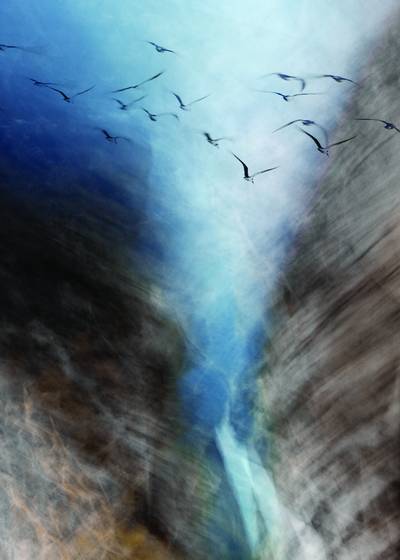 Flight