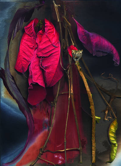 Red_coat