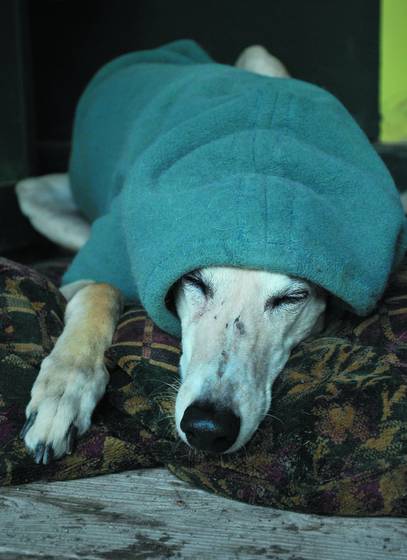 Keeping_warm