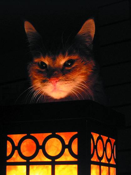Sam_and_the_lamp