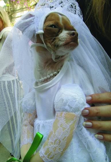 Bride