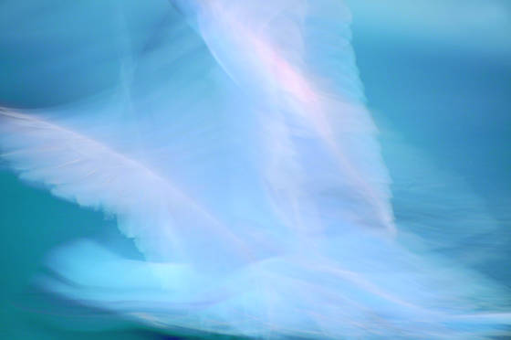 Untitled_8