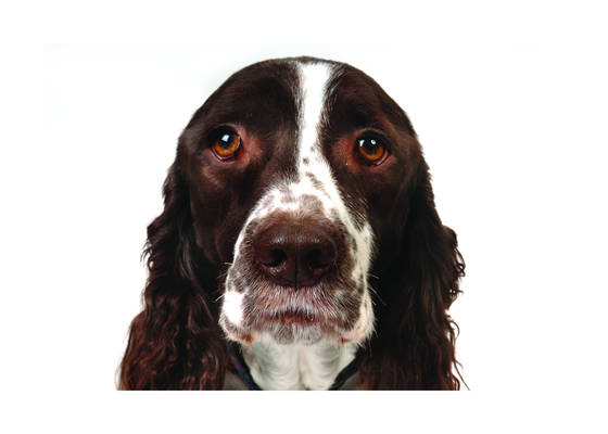 George