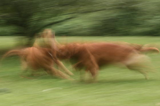Doggie_dancing