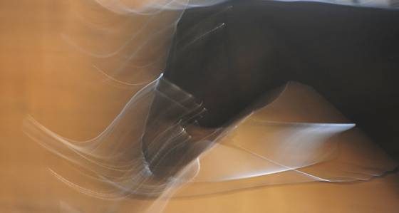 Ghost_dressage_1
