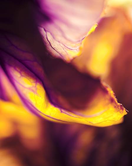 Untitled_2