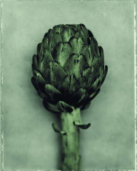 Artichoke