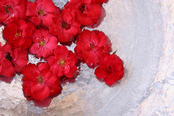 Roses_in_sliver_bowl