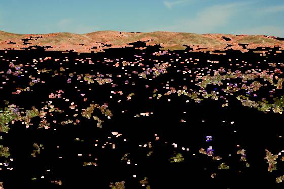 Sea_of_poppies