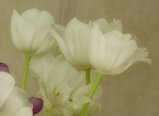 Bouquet__flutter